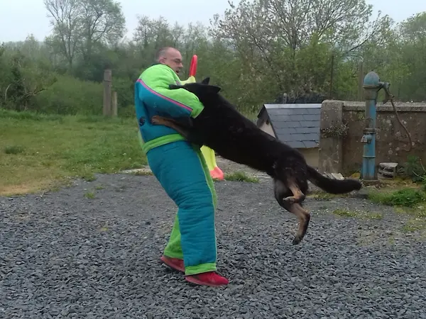 image formation assistant